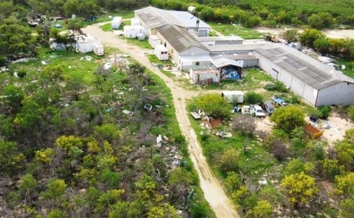 Farm Ranch in Cape Town, Western Cape, South Africa 1