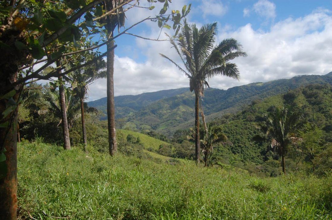 Land in Hojancha, Guanacaste Province, Costa Rica 2 - 17249318