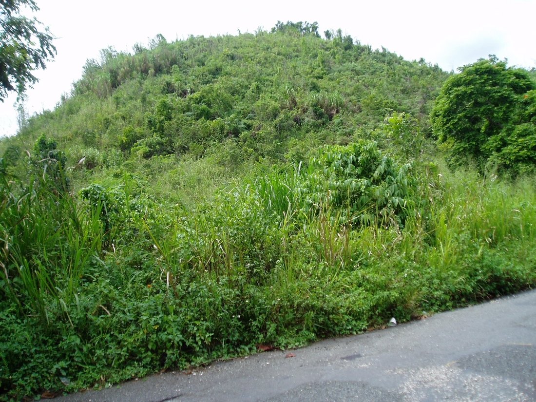 Land in Kingston, St. Andrew Parish, Jamaica 2 - 17250896