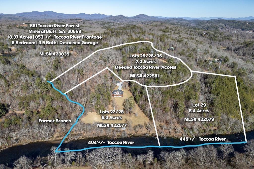 Land in Mineral Bluff, Georgia, United States 1 - 17249272