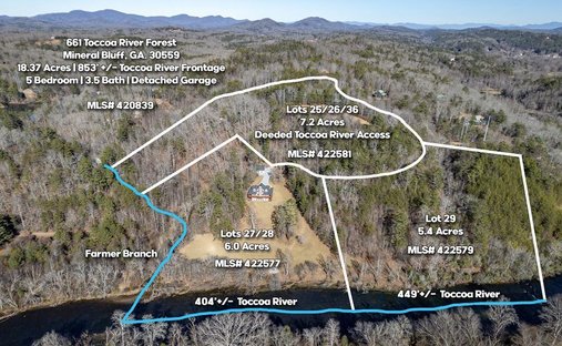 Land in Mineral Bluff, Georgia, United States 1