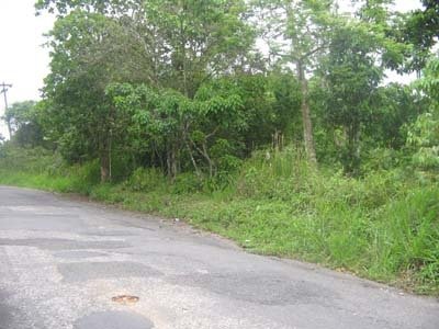Land in Kingston, St. Andrew Parish, Jamaica 4 - 17250896