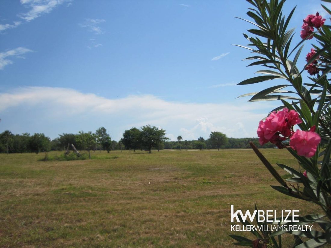 Land in Consejo, Corozal District, Belize 4 - 17249475