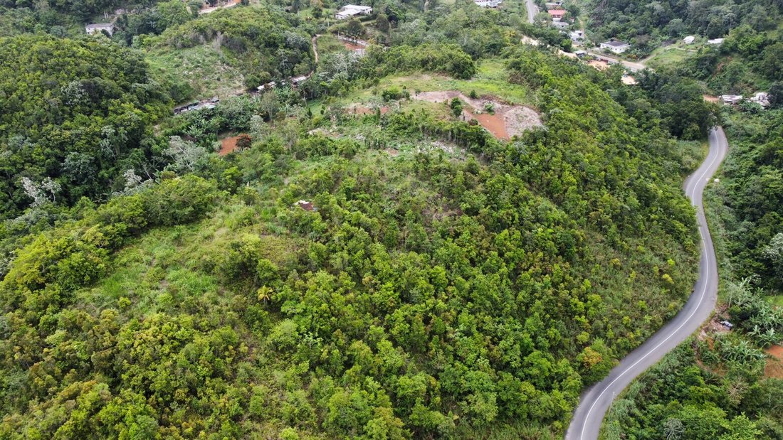 Land in Kingston, St. Andrew Parish, Jamaica 1 - 17250896