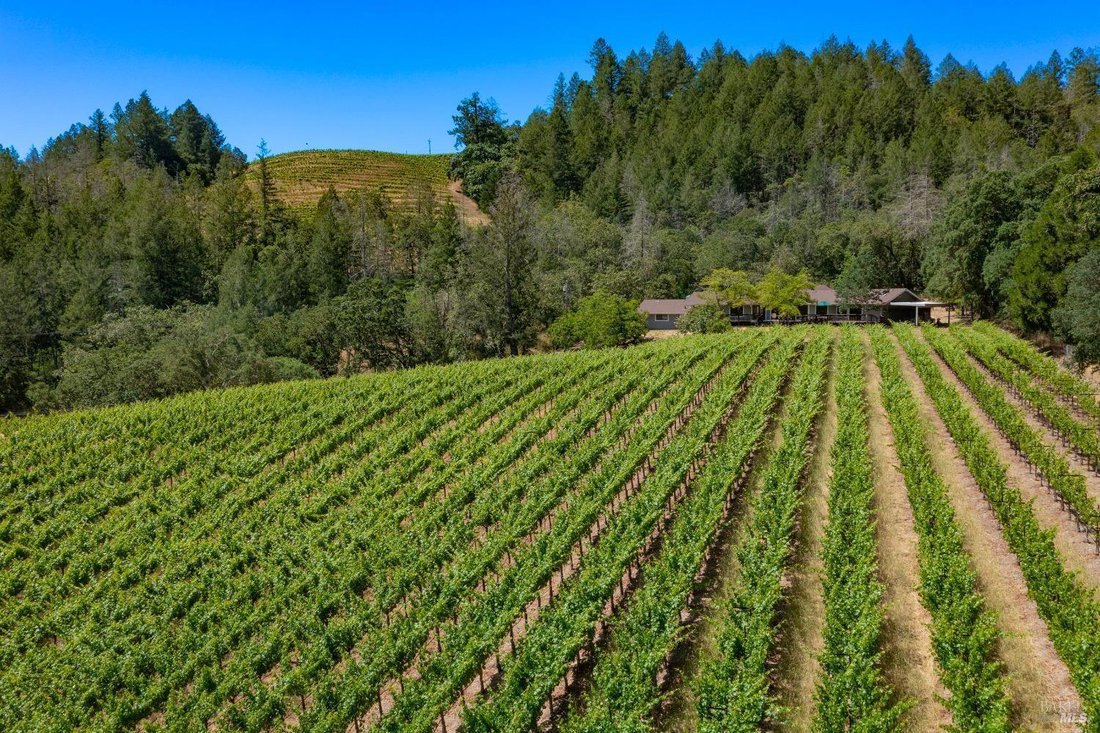 House in Calistoga, California, United States 1 - 17248268