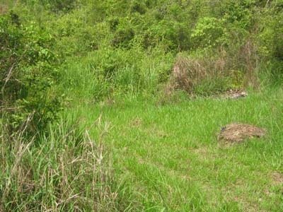 Land in Kingston, St. Andrew Parish, Jamaica 3 - 17250896