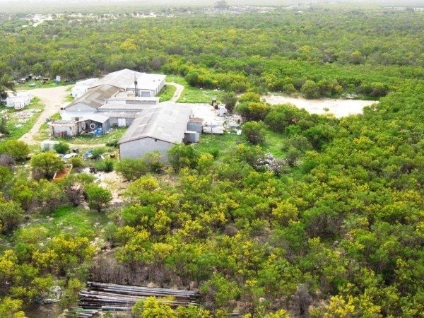 Farm Ranch in Cape Town, Western Cape, South Africa 4 - 17252280
