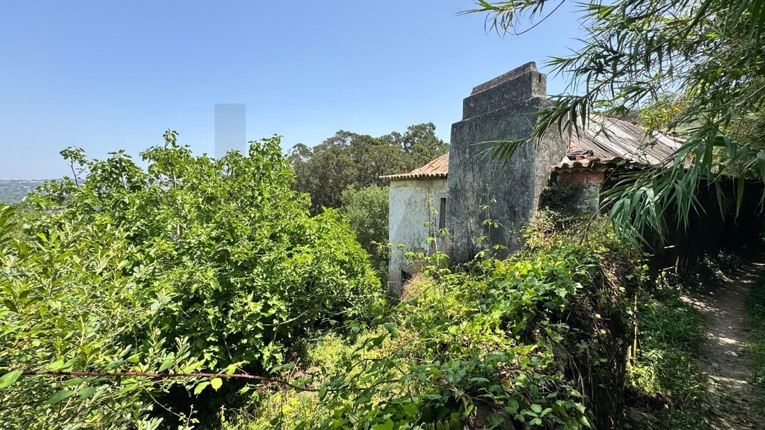House in Colares, Lisbon, Portugal 3 - 17250756