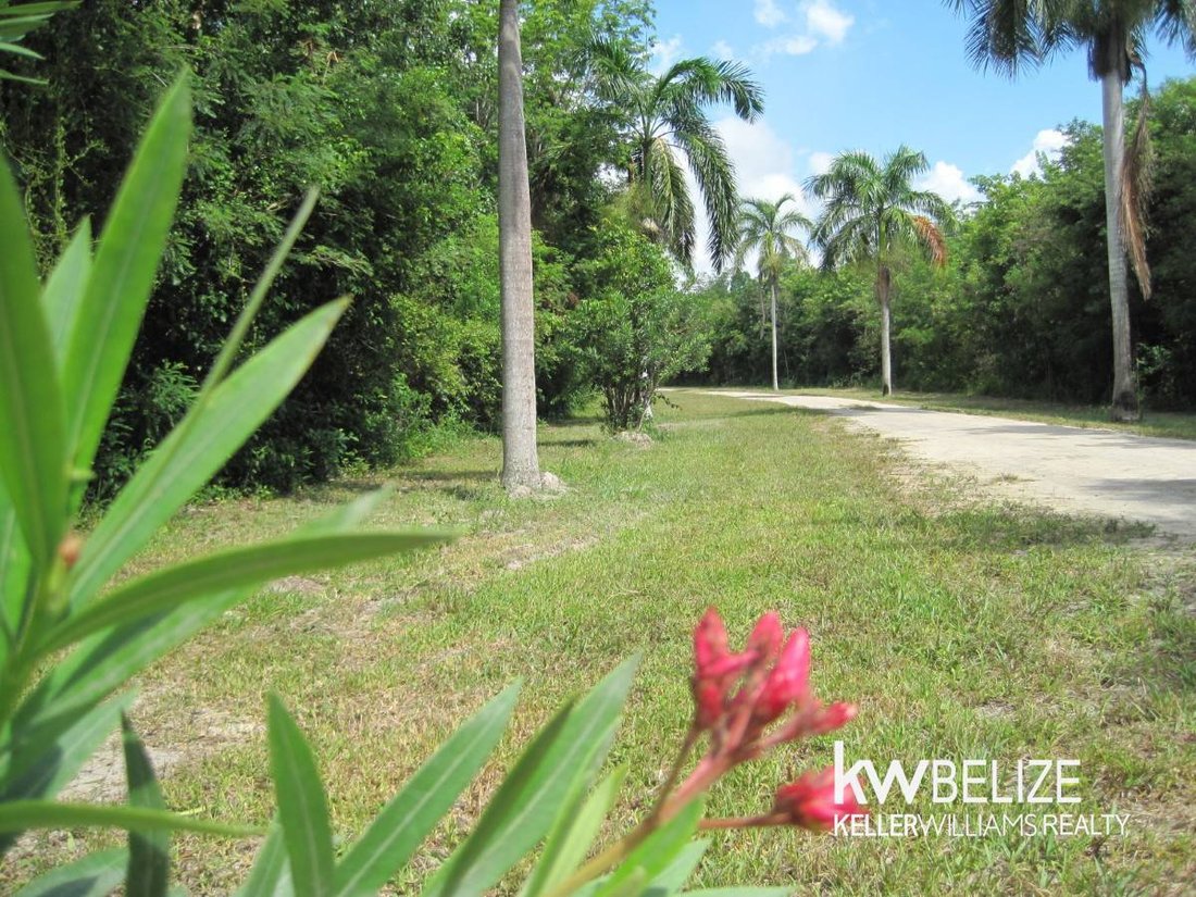 Land in Consejo, Corozal District, Belize 3 - 17249475