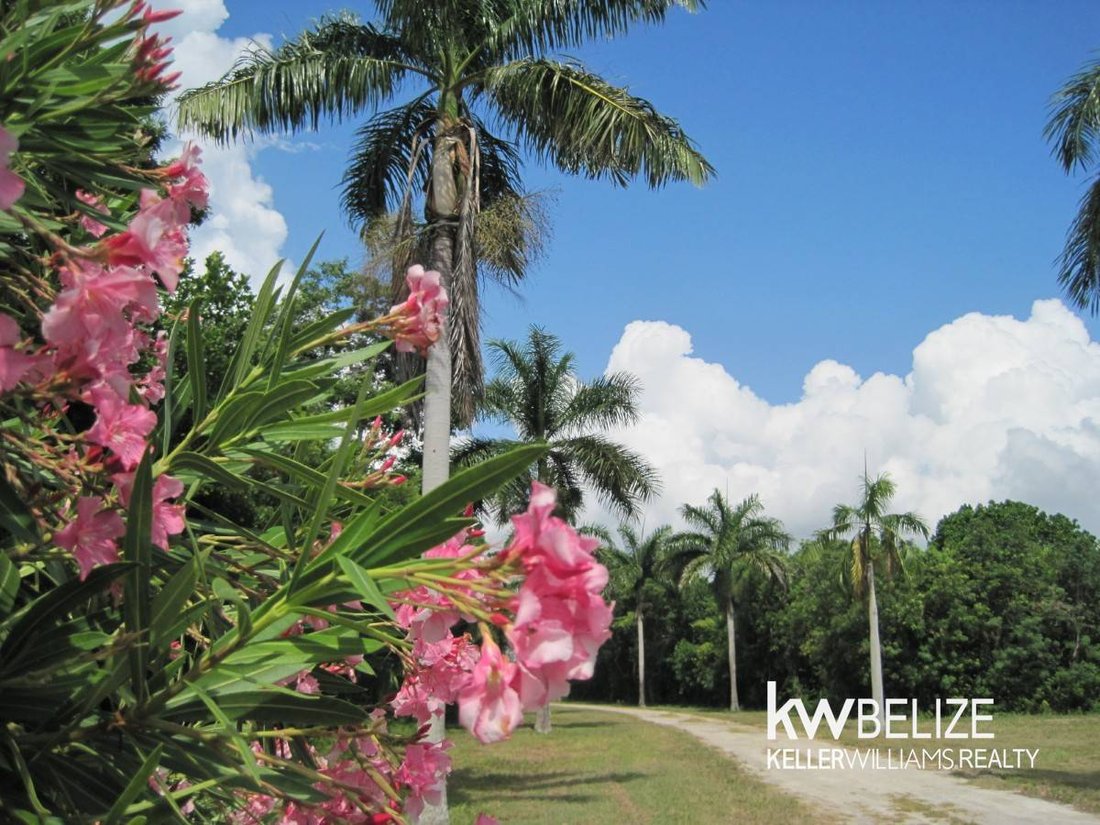 Land in Consejo, Corozal District, Belize 2 - 17249475