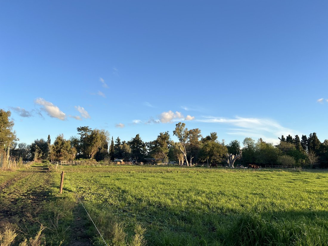 Farm Ranch in La Lonja, Buenos Aires Province, Argentina 4 - 17248810