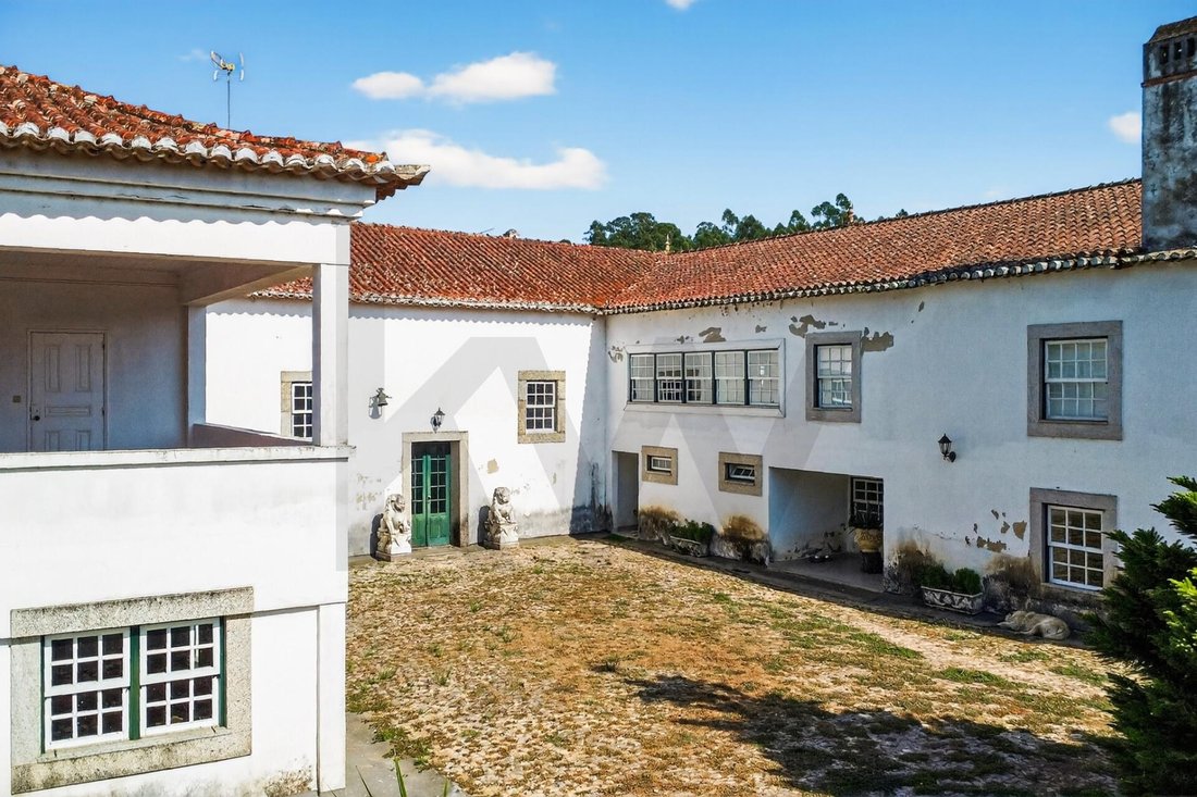Farm Ranch in Espariz e Sinde, Coimbra District, Portugal 3 - 17251356