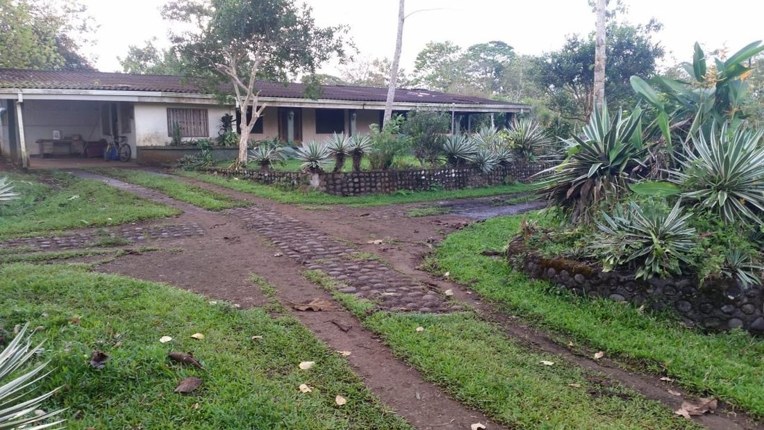 Farm Ranch in Upala, Upala, Costa Rica 5 - 17248983