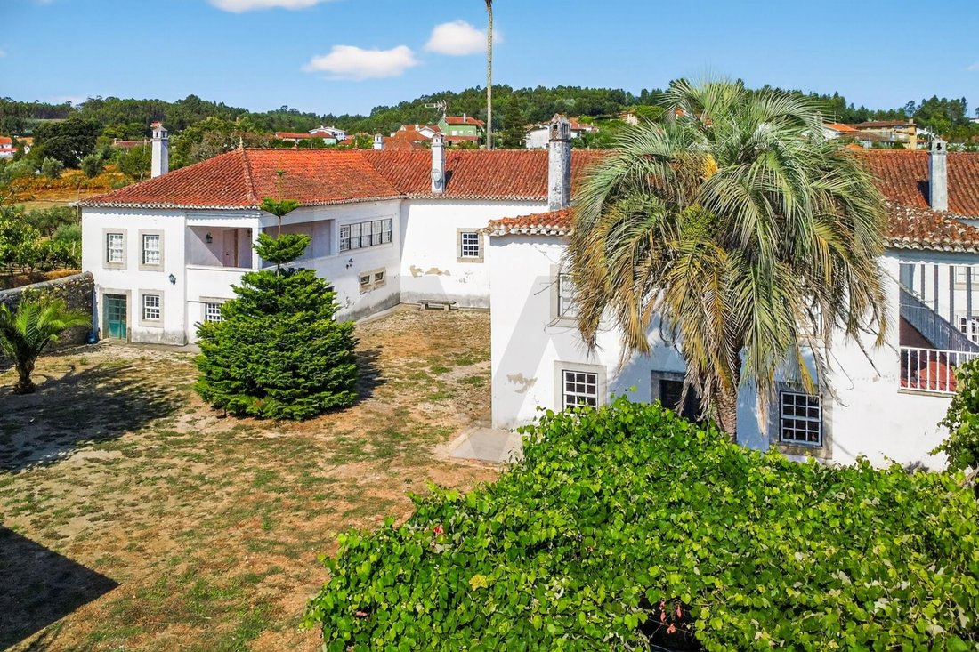 Farm Ranch in Espariz e Sinde, Coimbra District, Portugal 2 - 17251356