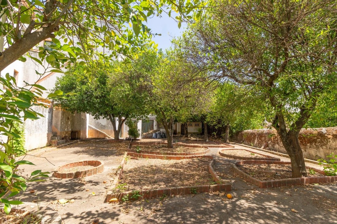 House in Evora (Sao Mamede, Se, Sao Pedro e Santo Antao), Évora District, Portugal 3 - 17251500