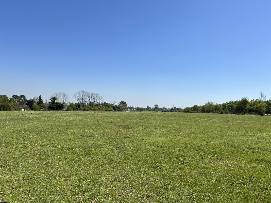 Farm Ranch in La Lonja, Buenos Aires Province, Argentina 5 - 17248810