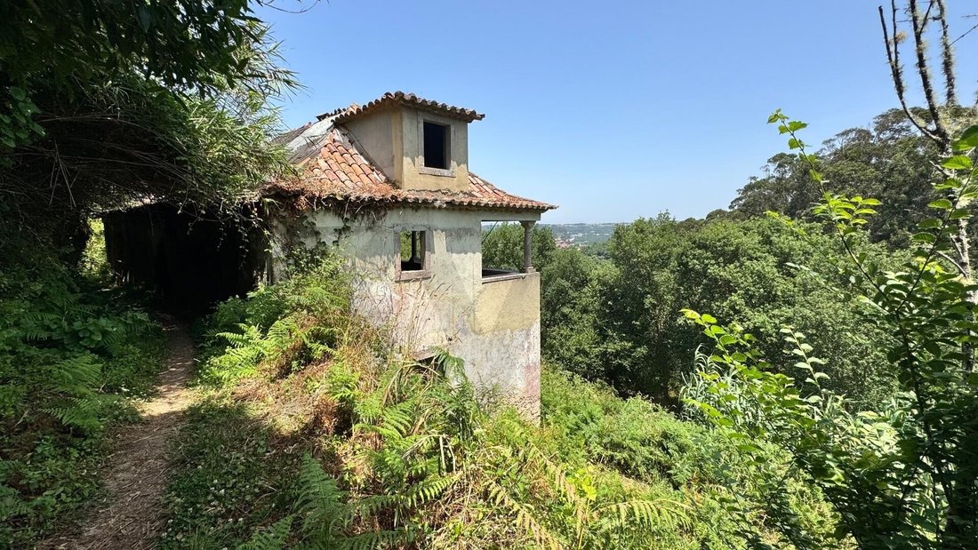 House in Colares, Lisbon, Portugal 5 - 17250756