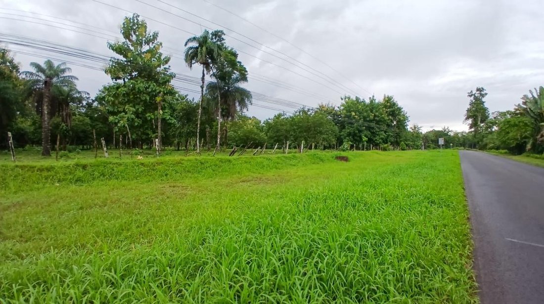 Farm Ranch in Upala, Upala, Costa Rica 1 - 17248983