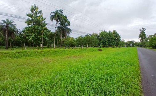 Azienda agricola in Upala, Costa Rica 1