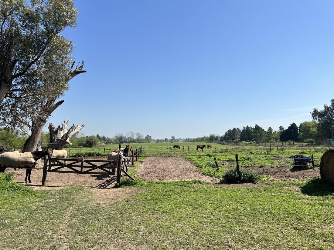 Farm Ranch in La Lonja, Buenos Aires Province, Argentina 3 - 17248810