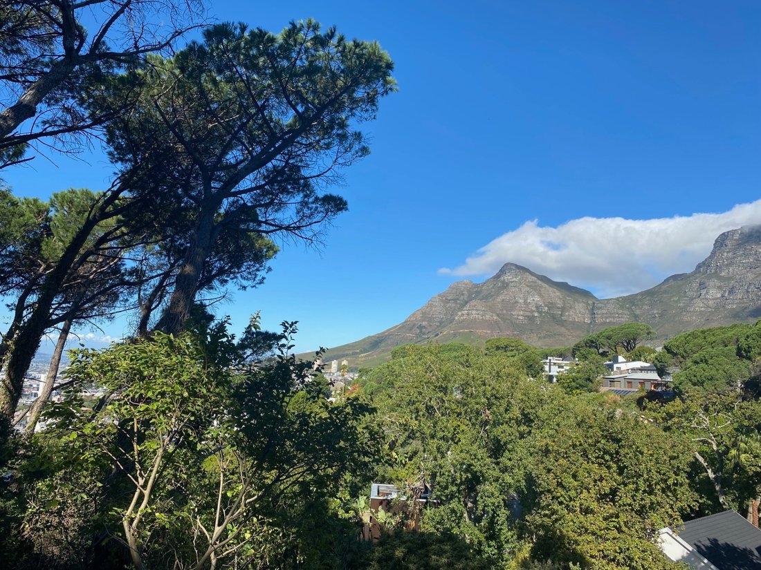 House in Gardens, Cape Town, South Africa 1 - 17252053