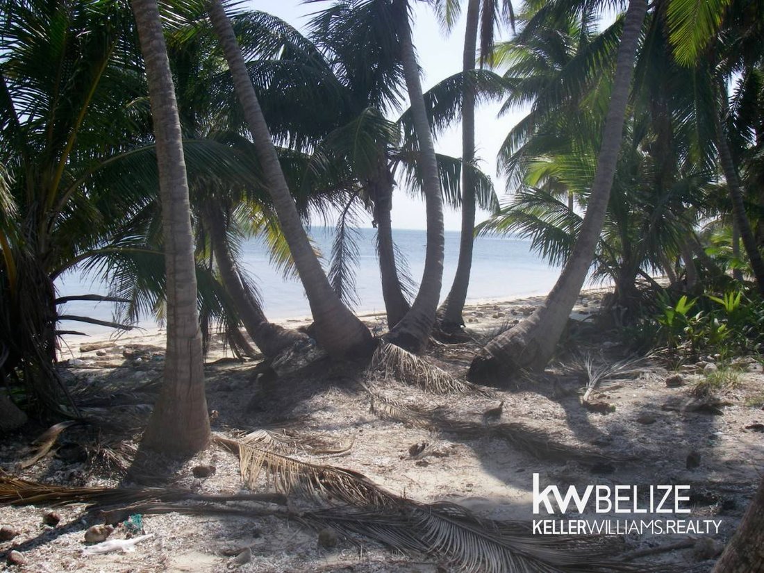 Land in Bacalar Chico, Corozal District, Belize 4 - 17249522