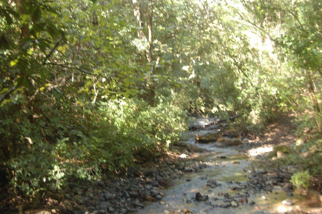 Land in Hojancha, Guanacaste Province, Costa Rica 4 - 17249318