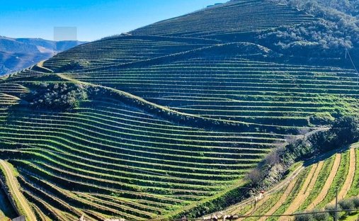 Casa en Ervedosa do Douro, Distrito de Viseu, Portugal 1