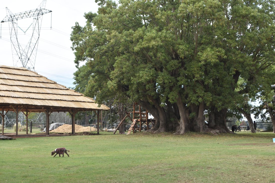 Farm Ranch in La Lonja, Buenos Aires Province, Argentina 4 - 17249364