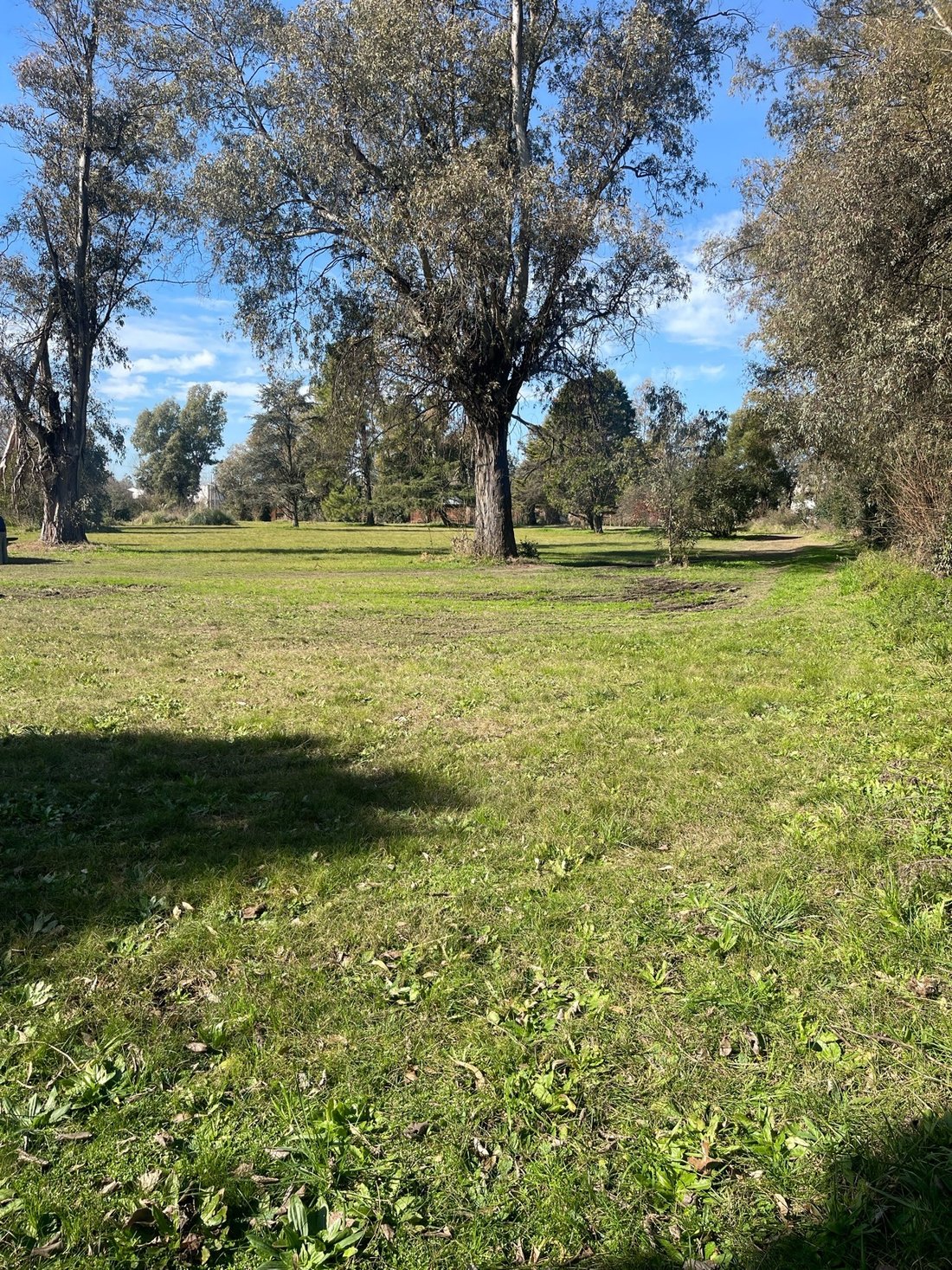Land in La Lonja, Buenos Aires Province, Argentina 4 - 17248882