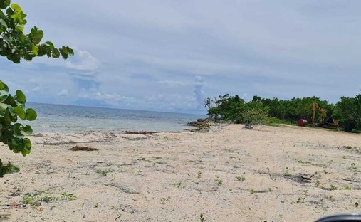 Auchindown, Westmoreland Parish, Jamaica 1