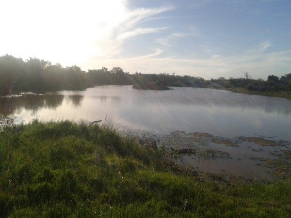 Farm Ranch in Cape Town, Western Cape, South Africa 2 - 17252280