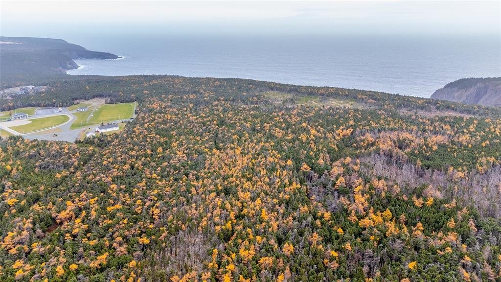 Terrain à Flatrock, Terre-Neuve-et-Labrador, Canada 4 - 17248976