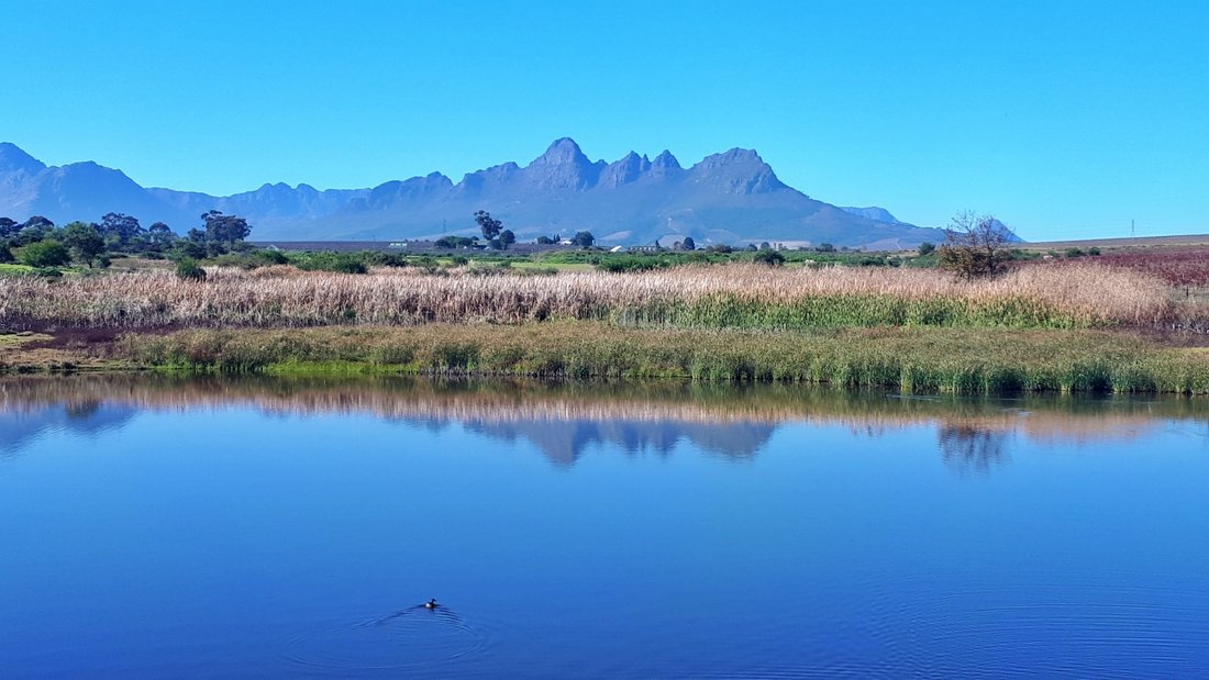 Farm Ranch in Stellenbosch, Western Cape, South Africa 1 - 17253450