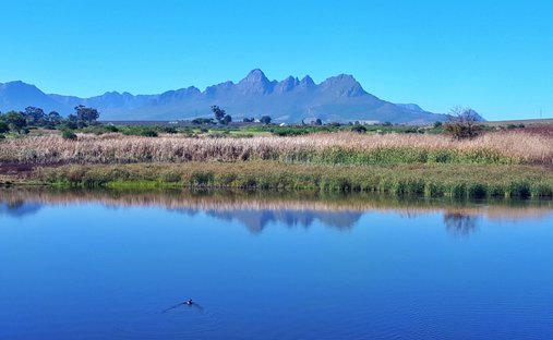 Farm Ranch in Stellenbosch, Western Cape, South Africa 1