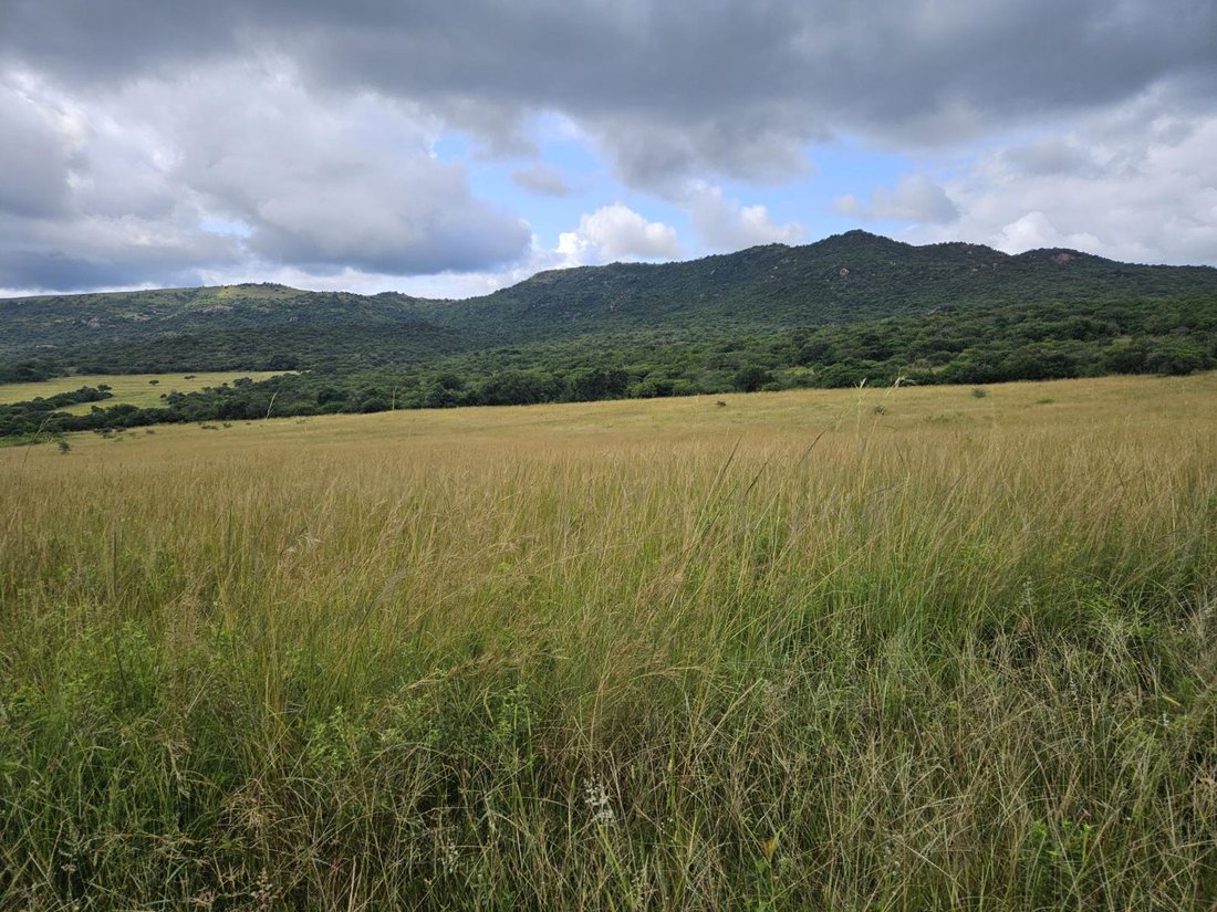 Farm Ranch in Mbombela, Mpumalanga, South Africa 2 - 17256015