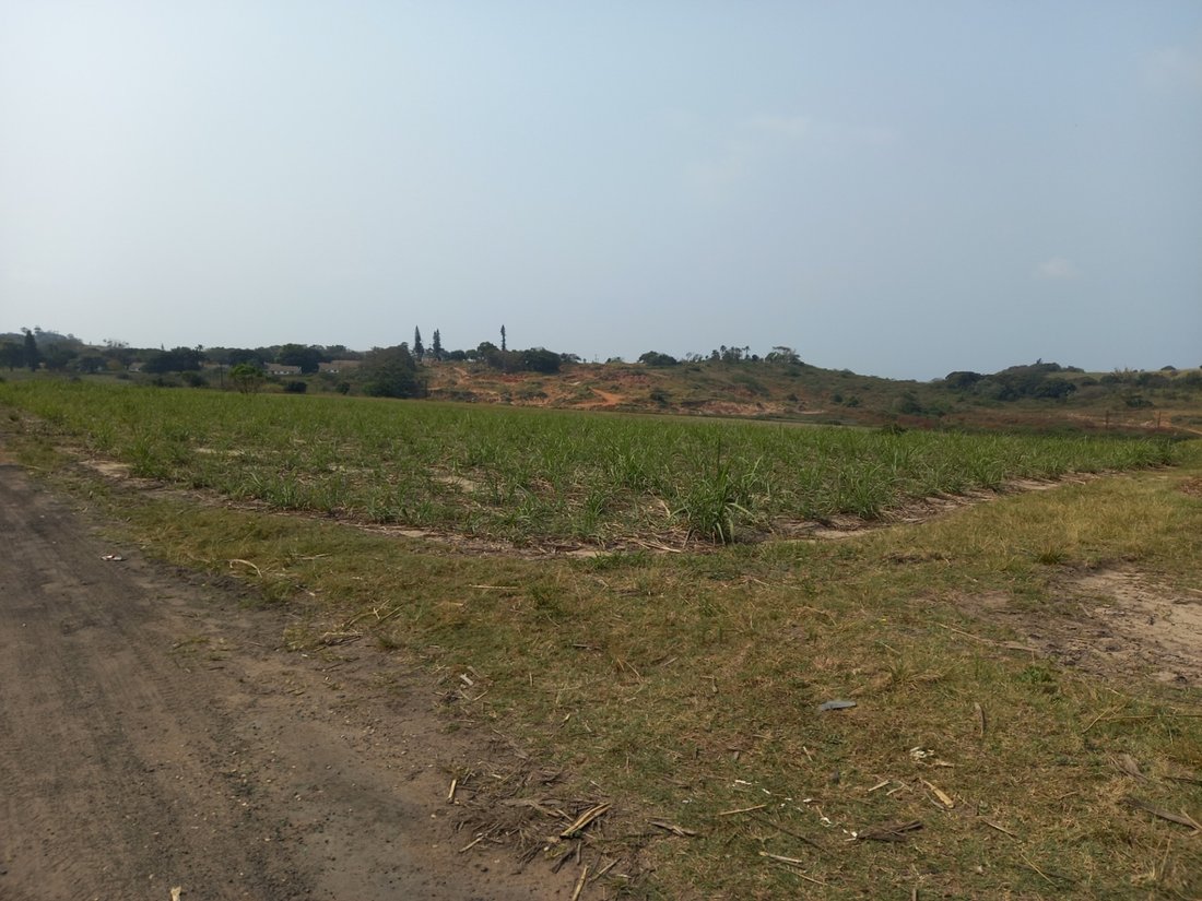 Farm Ranch in Johannesburg, Gauteng, South Africa 3 - 17256049