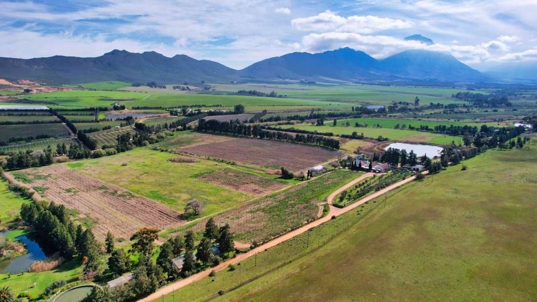 Farm Ranch in Johannesburg, Gauteng, South Africa 4 - 17252363