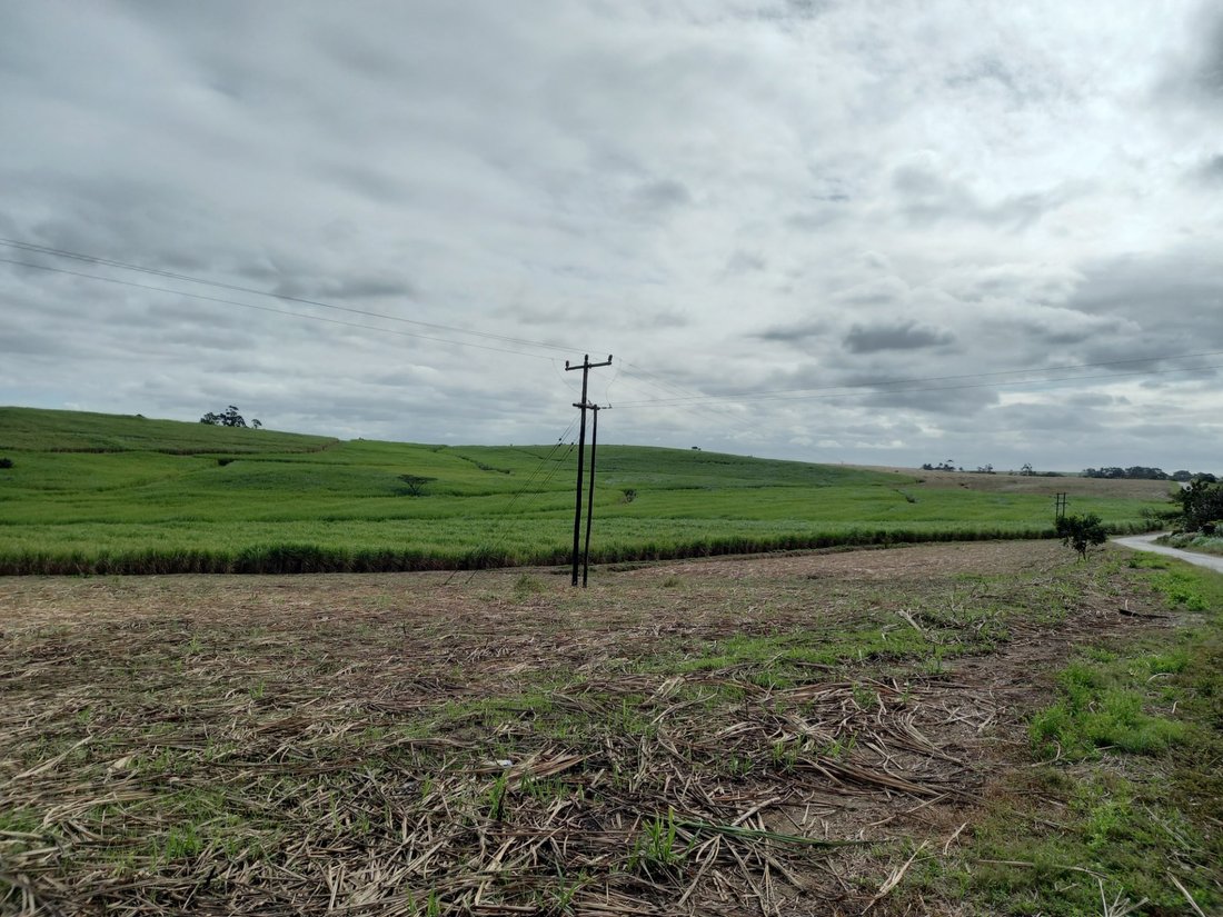 Farm Ranch in Johannesburg, Gauteng, South Africa 5 - 17256049