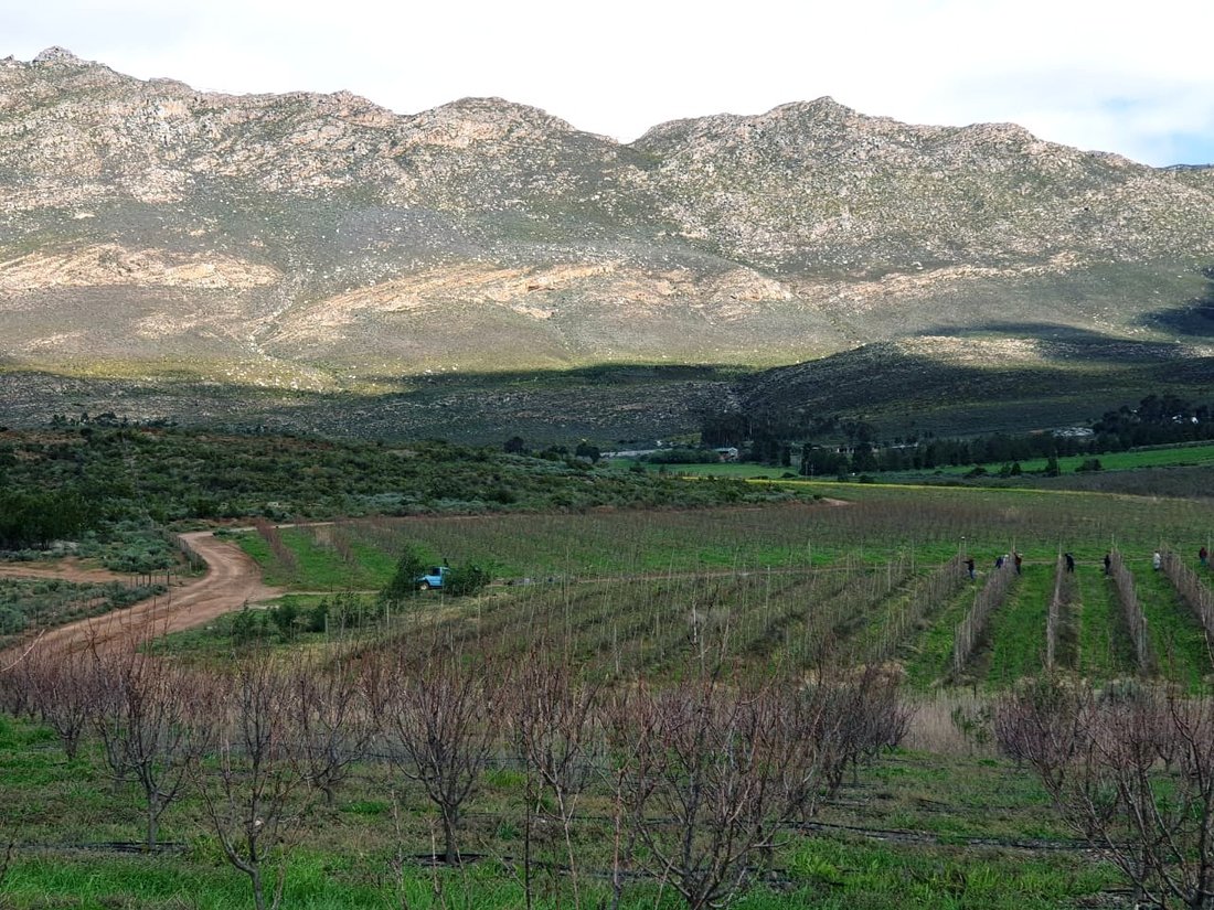 Farm Ranch in Montagu, Western Cape, South Africa 2 - 17253444