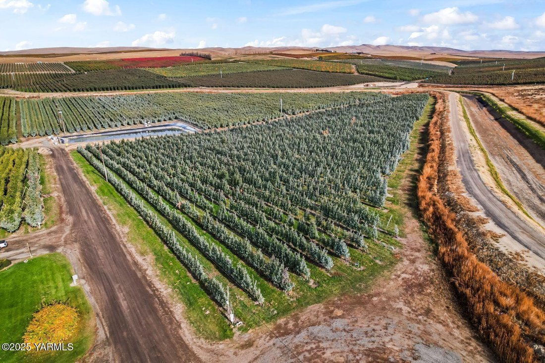Land in Zillah, Washington, United States 1 - 17248950