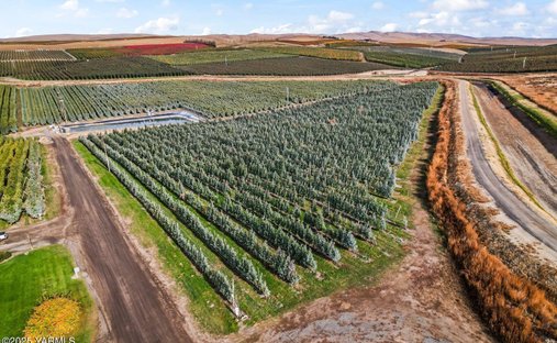 Land in Zillah, Washington, United States 1