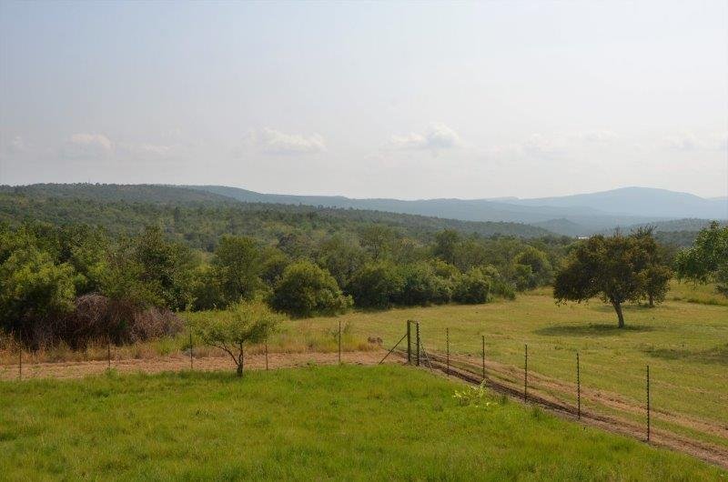 Farm Ranch in Mookgopong, Limpopo, South Africa 4 - 17251521