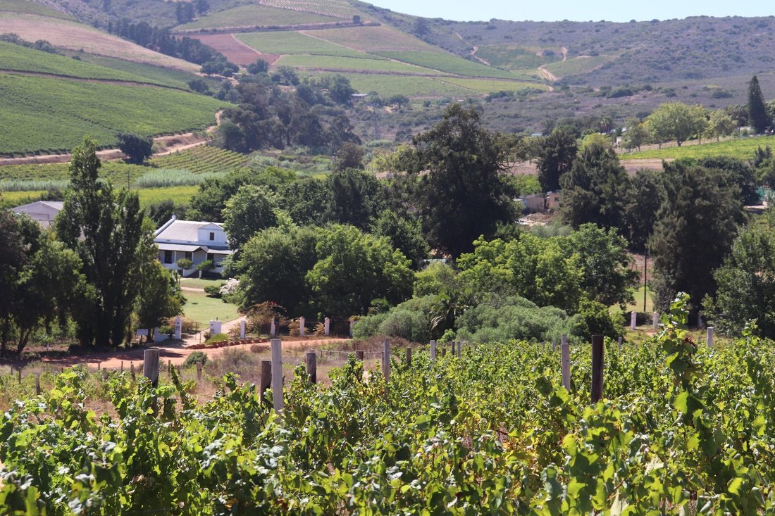 Farm Ranch in Stellenbosch, Western Cape, South Africa 1 - 17253343