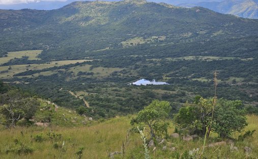 Farm Ranch in Sonheuwel, Mbombela, Mpumalanga 1