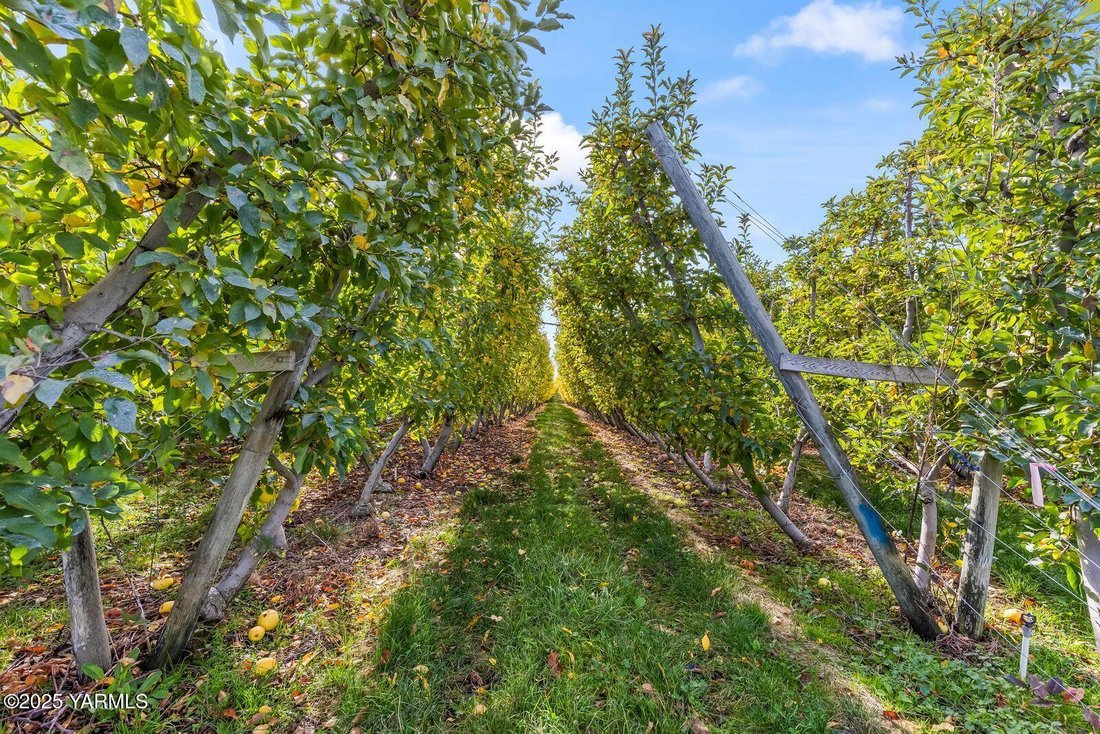 Land in Zillah, Washington, United States 4 - 17248950