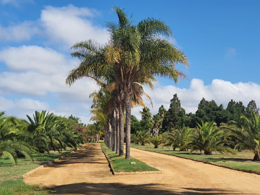 Casa a Città del Capo, Capo Occidentale, Sudafrica 1 - 17256061
