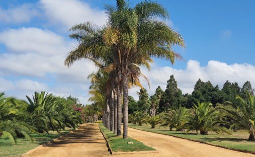 Farm Ranch in Cape Town, Western Cape, South Africa 1