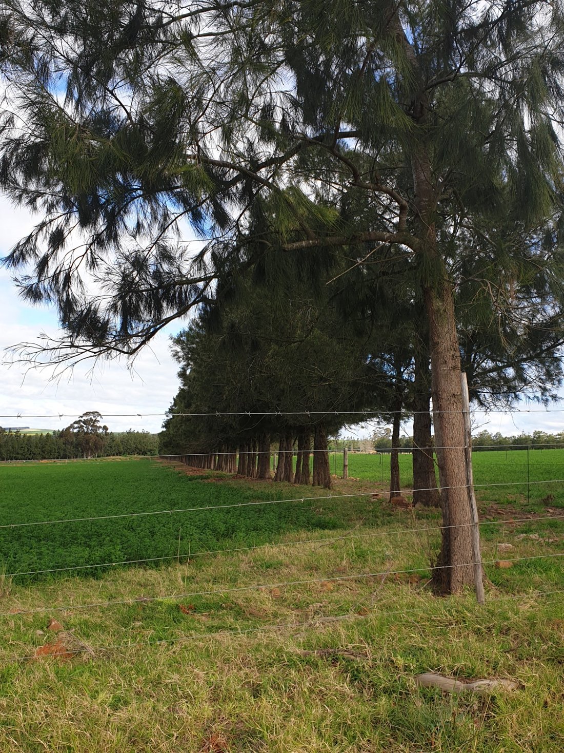 Farm Ranch in Swellendam, Western Cape, South Africa 2 - 17253446