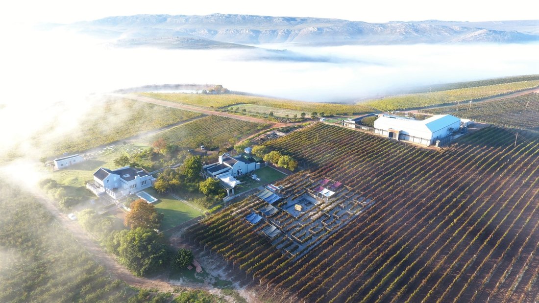 Farm Ranch in Grabouw, Western Cape, South Africa 1 - 17253408